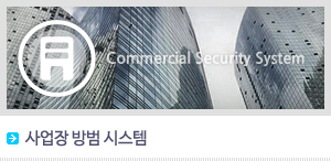 Commercial Security System